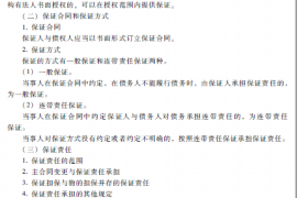 新县新县的要账公司在催收过程中的策略和技巧有哪些？